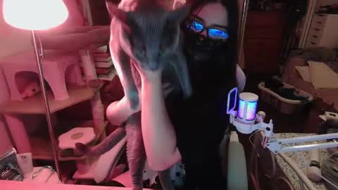 coco online show from November 22, 8:46 am