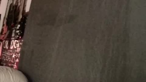 Snapshot of xxwhitefoxx chatting on March 11, 8:41 am David Fox online show from March 11, 8:41 am