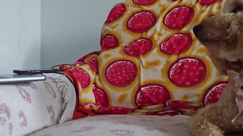 TonyDoesMiami online show from January 26, 5:13 pm