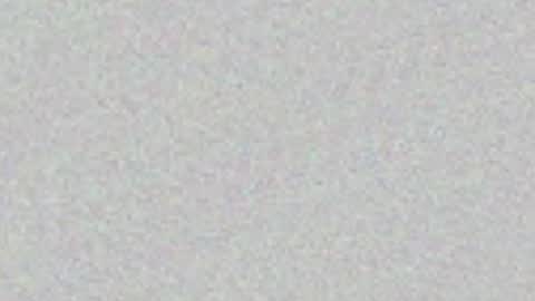 youngboy online show from June 17, 10:42 am