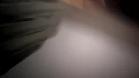 yashcdklyytx online show from October 29, 12:07 pm