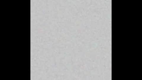 .     y e l l o w s n a k e s       . online show from March 4, 11:40 am