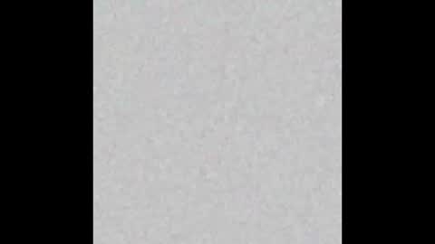 .     y e l l o w s n a k e s       . online show from March 25, 1:01 am