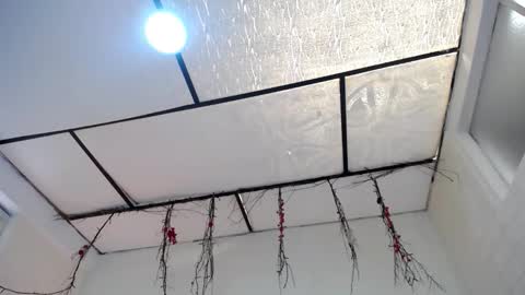 YEM online show from March 23, 3:39 pm