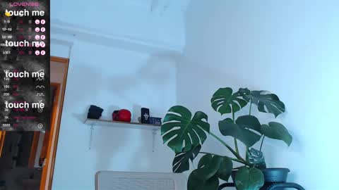 Enzo online show from February 27, 2:35 am