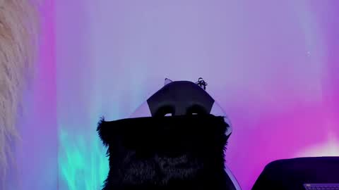 Cami independent model online show from March 3, 12:28 pm