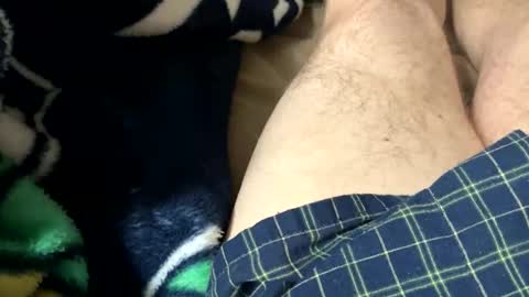 yppac8230 online show from January 8, 4:51 am