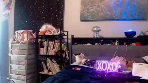 zaddyslilslutbucket online show from November 11, 2:03 am