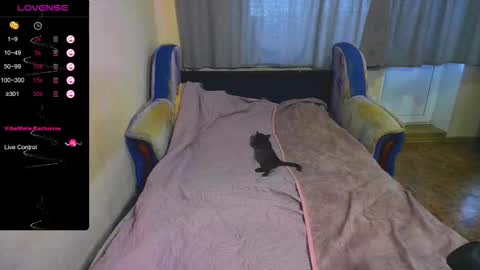 chaturcum online show from October 8, 3:56 am