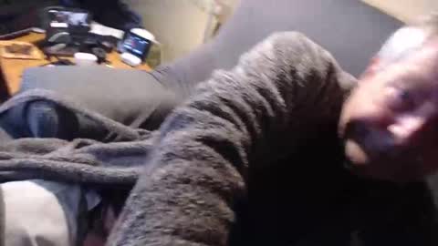 Zerr online show from March 29, 8:49 am