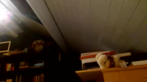 Snapshot of zolexthomas chatting on January 15, 4:43 pm zolexthomas online show from January 15, 4:43 pm