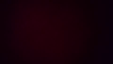 Zomas online show from November 26, 7:49 am